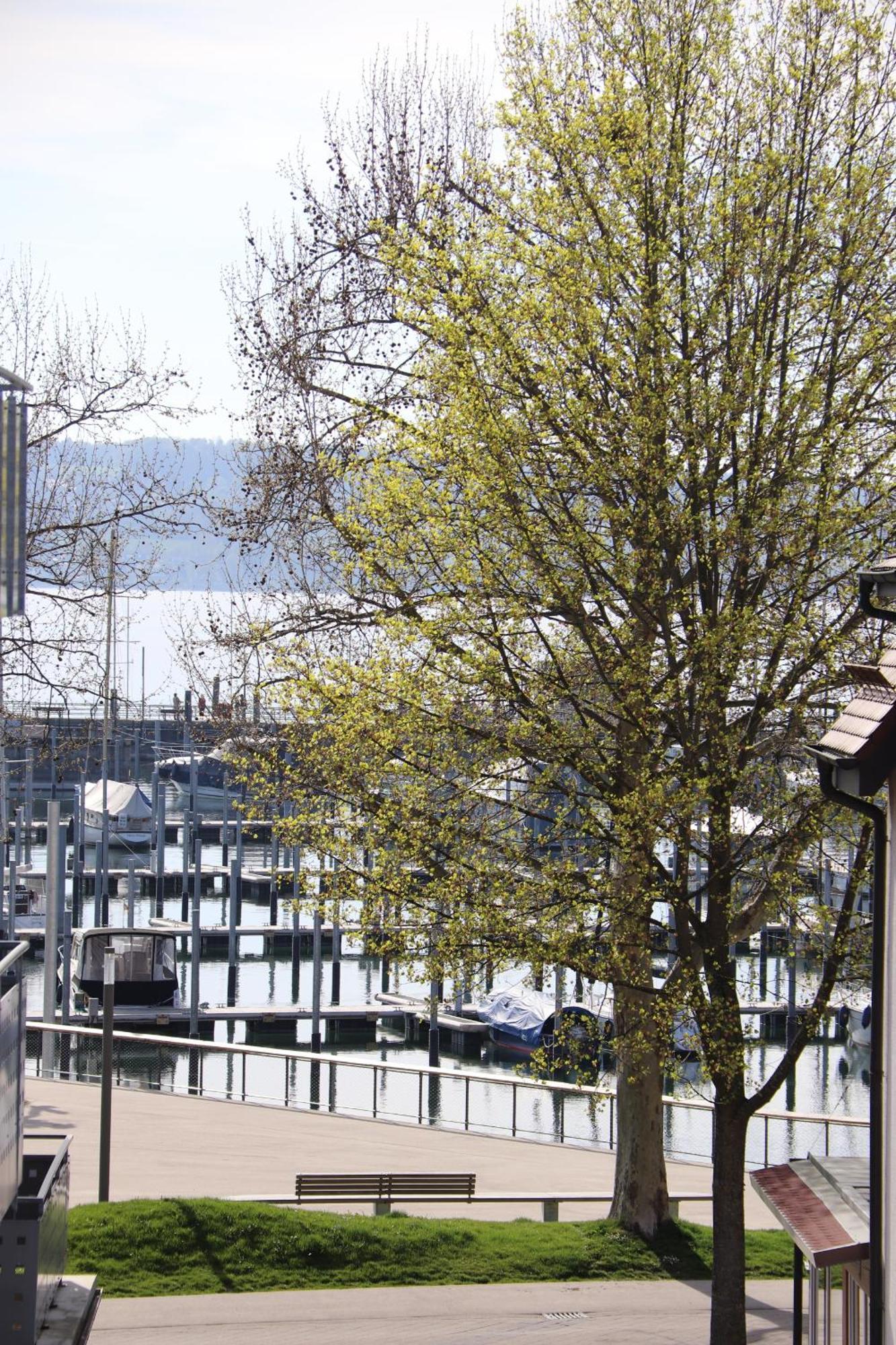 Gaestehaus Maeder Am Hafen Uhldingen-Muehlhofen Room photo