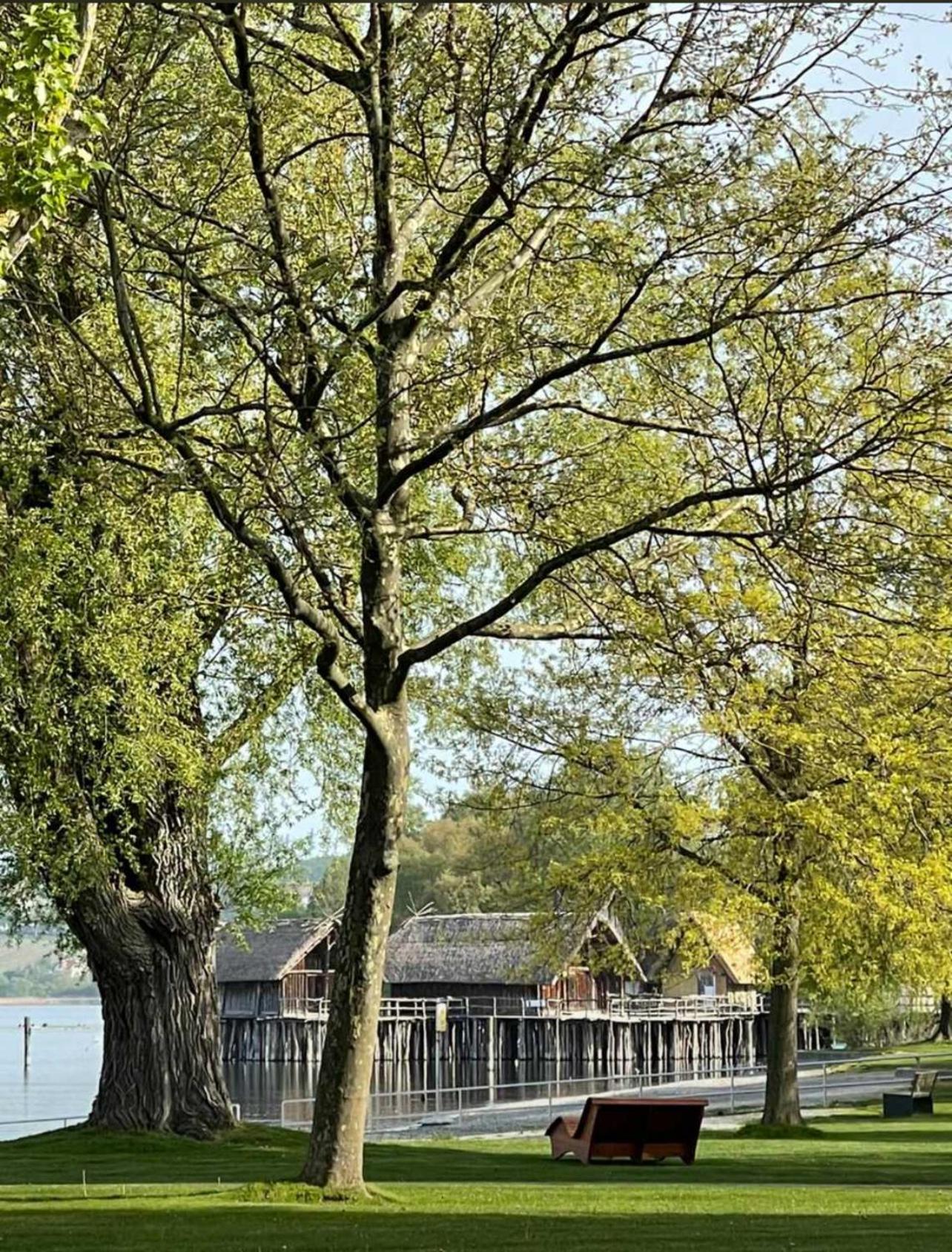 Gaestehaus Maeder Am Hafen Uhldingen-Muehlhofen Exterior photo